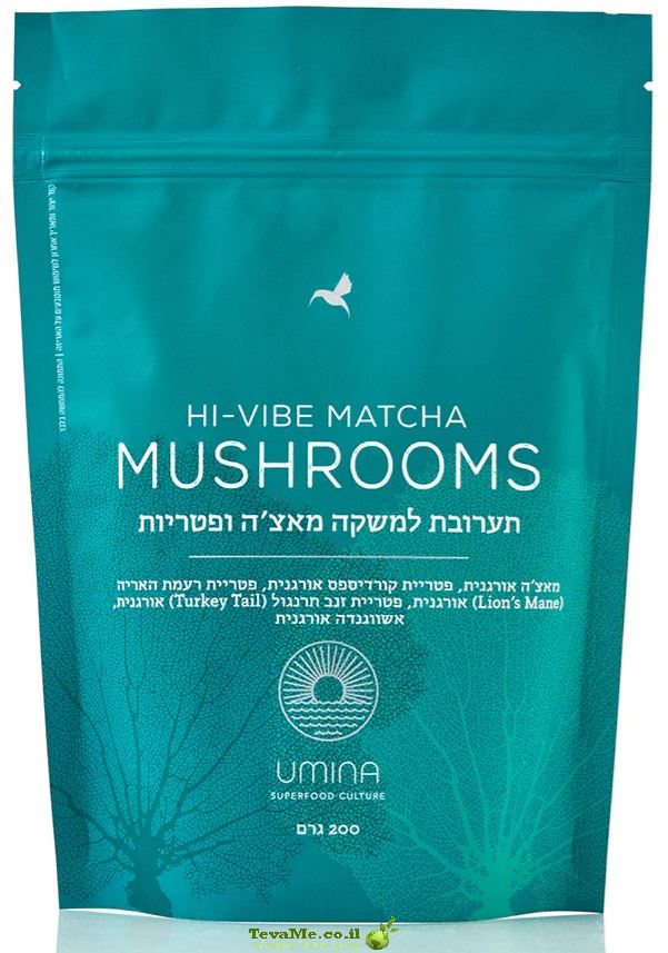 תערובת למשקה מאצ'ה פטריות  HI-VIBE MATCHA MUSHROOMS 1