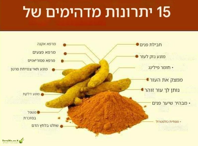 שורש כורכום אורגני טרי Turmeric Root Organic Fresh