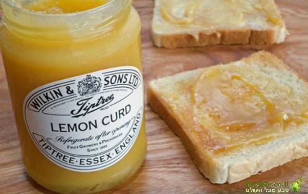 ממרח קרם לימון קרד Wilkin & Sons Tiptree Lemon Curd