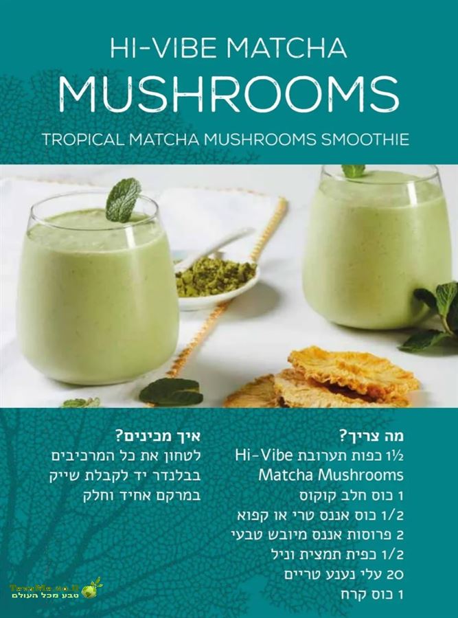 תערובת למשקה מאצ'ה פטריות  HI-VIBE MATCHA MUSHROOMS 3